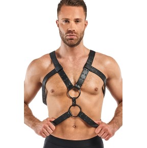 Harnais de bondage Rocco - Bedroom Fantasies