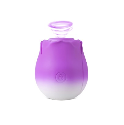 Stimulateur à aspiration et vibrations Blossom Pulse - DIK